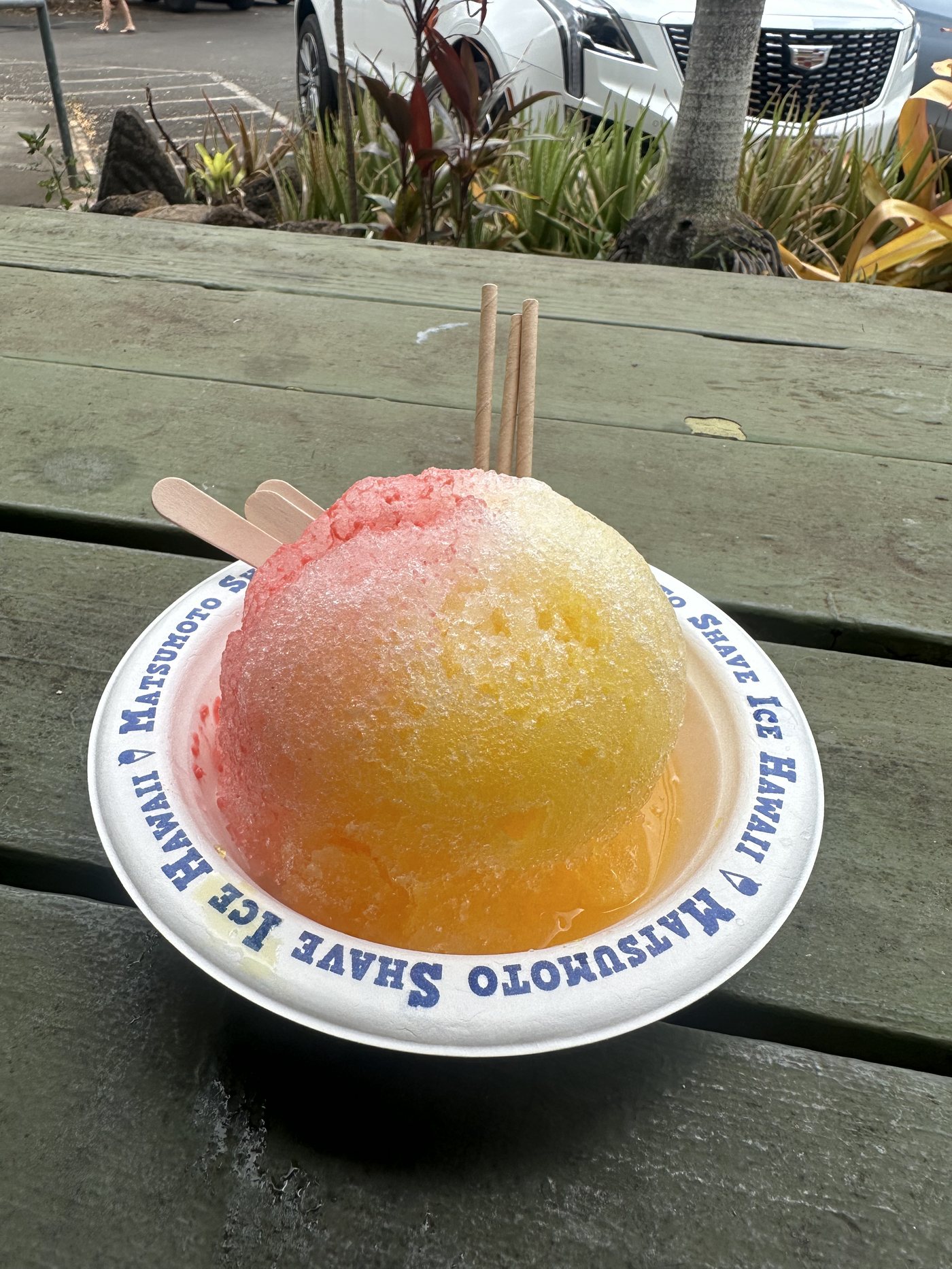 マツモトシェーブアイスのTROPICALフレーバー